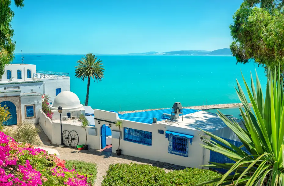 Beautiful view of traditional houses in Tunis and the sea in the background